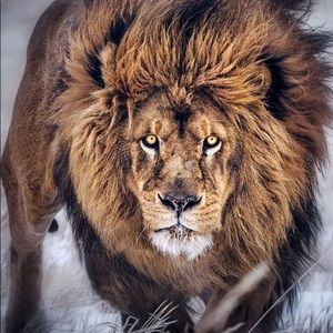 Meet your Posher, Abdul warith